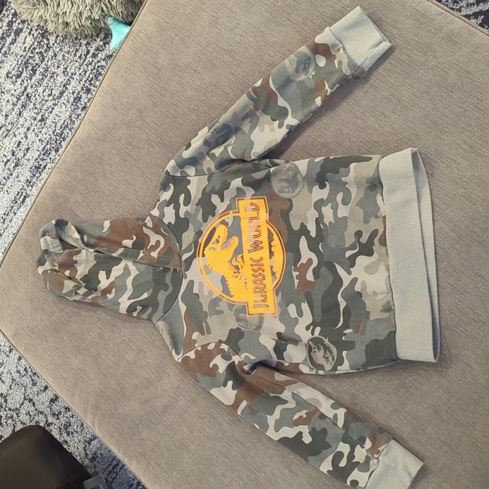 Boys Jurassic world sweatshirt
